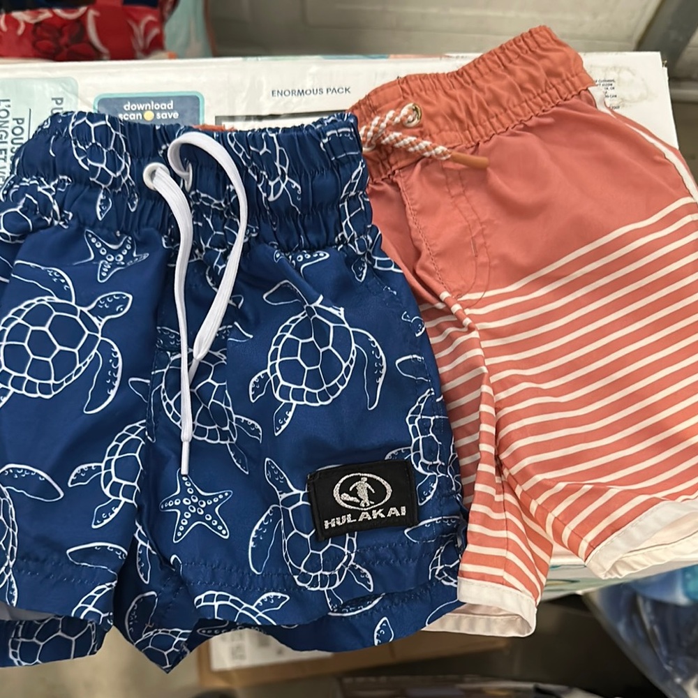 Blue and Pink Casual Summer Shorts